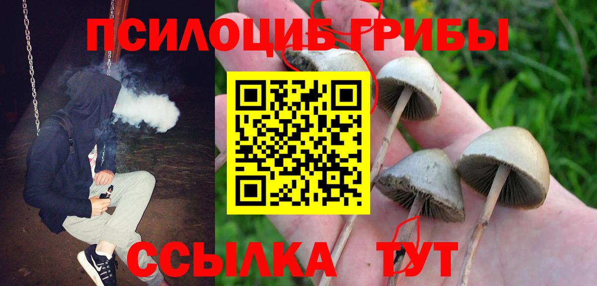 Псилоцибиновые грибы ЛСД Ефремов